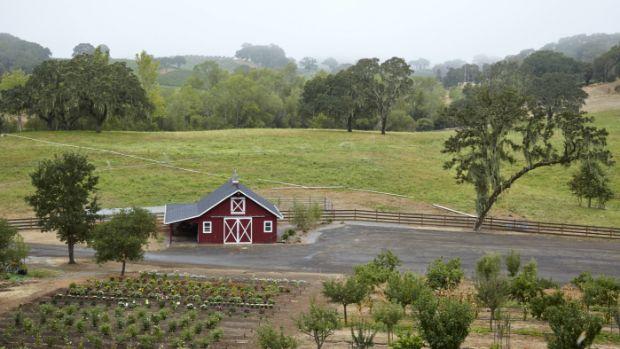 Jordan Vineyard & Winery - Image 2 Jordan Vineyard & Winery - Image 2
